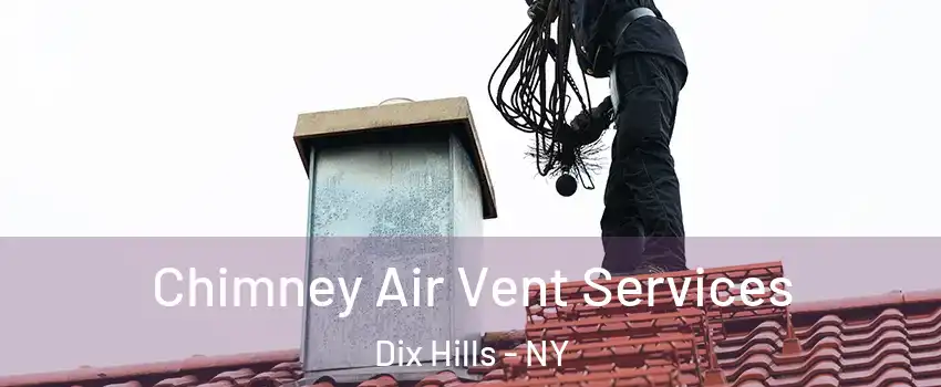  Chimney Air Vent Services Dix Hills - NY