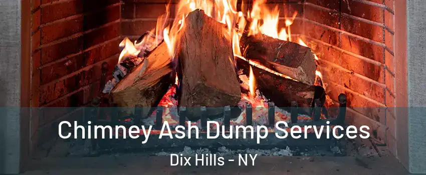  Chimney Ash Dump Services Dix Hills - NY