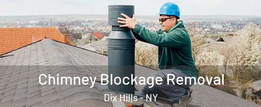  Chimney Blockage Removal Dix Hills - NY