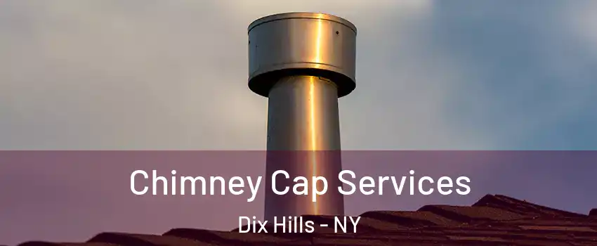  Chimney Cap Services Dix Hills - NY