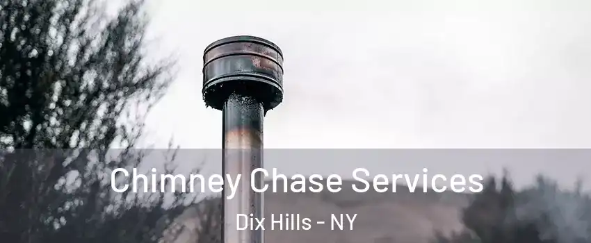  Chimney Chase Services Dix Hills - NY
