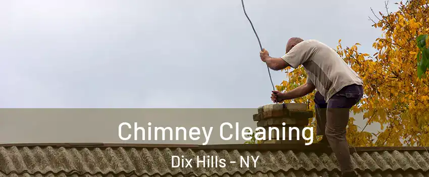  Chimney Cleaning Dix Hills - NY