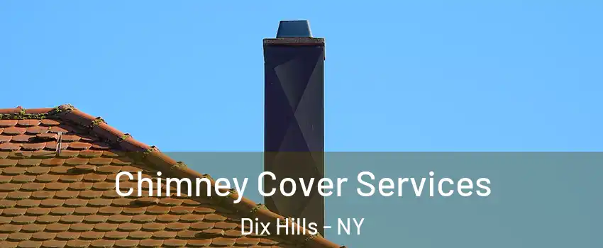  Chimney Cover Services Dix Hills - NY