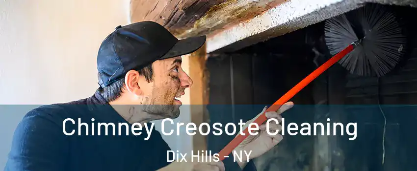  Chimney Creosote Cleaning Dix Hills - NY