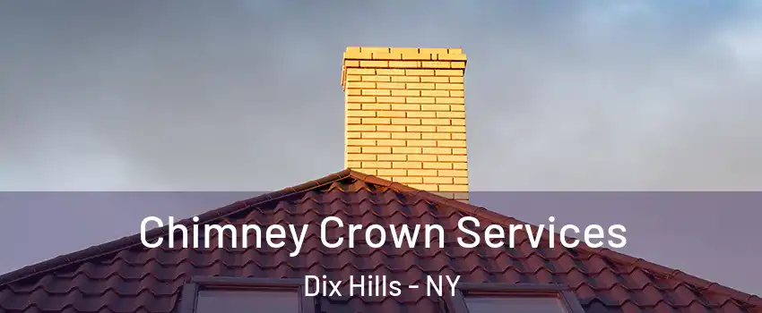 Chimney Crown Services Dix Hills - NY