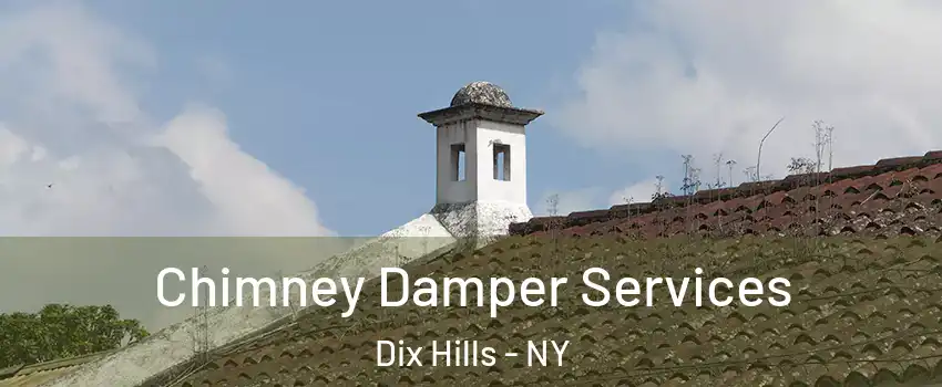  Chimney Damper Services Dix Hills - NY
