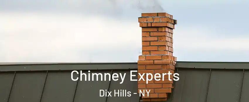 Chimney Experts Dix Hills - NY