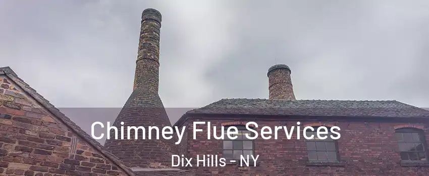  Chimney Flue Services Dix Hills - NY