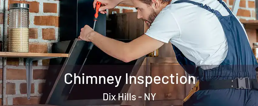  Chimney Inspection Dix Hills - NY