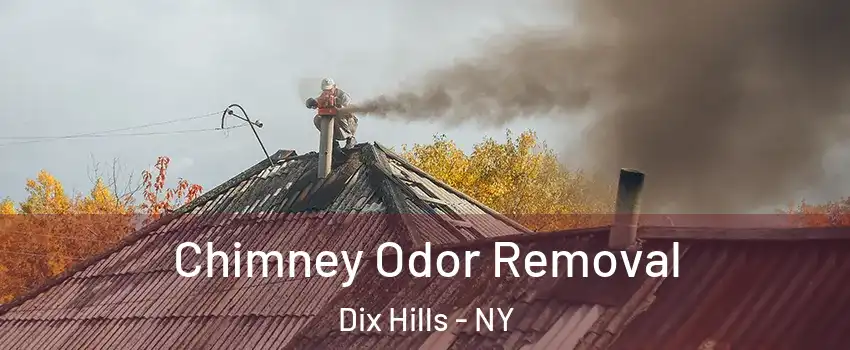  Chimney Odor Removal Dix Hills - NY