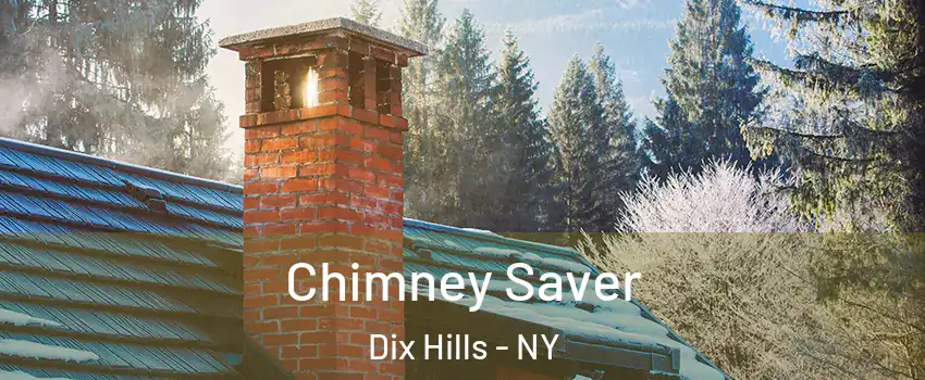  Chimney Saver Dix Hills - NY