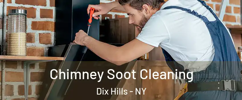  Chimney Soot Cleaning Dix Hills - NY