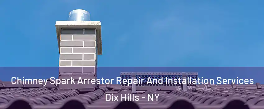  Chimney Spark Arrestor Repair And Installation Services Dix Hills - NY