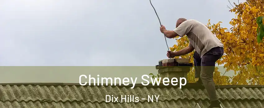  Chimney Sweep Dix Hills - NY