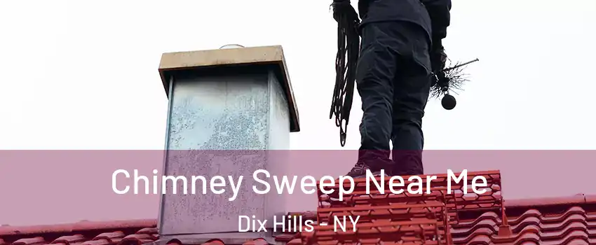  Chimney Sweep Near Me Dix Hills - NY