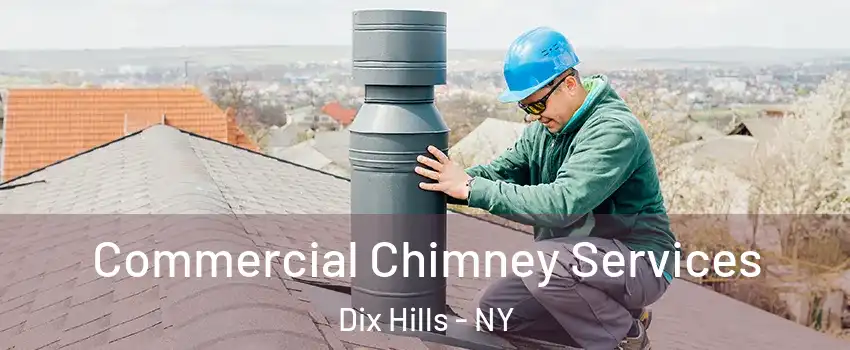  Commercial Chimney Services Dix Hills - NY