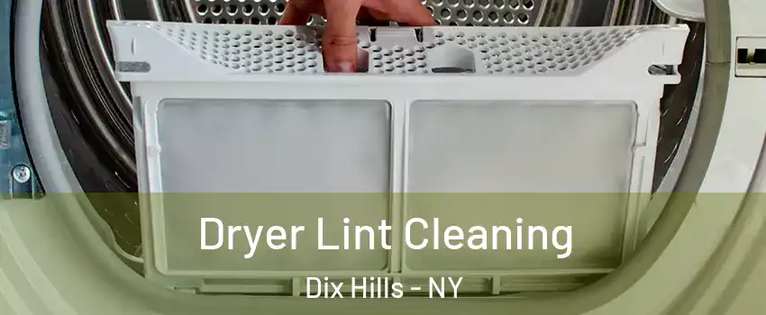  Dryer Lint Cleaning Dix Hills - NY