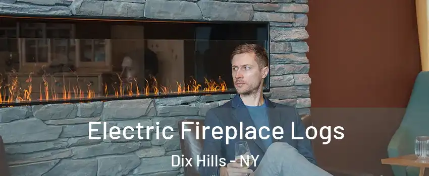  Electric Fireplace Logs Dix Hills - NY