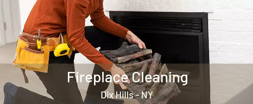  Fireplace Cleaning Dix Hills - NY