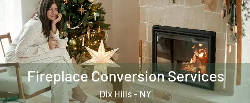  Fireplace Conversion Services Dix Hills - NY