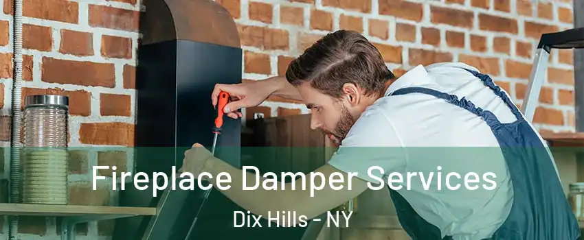 Fireplace Damper Services Dix Hills - NY