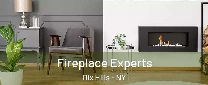  Fireplace Experts Dix Hills - NY