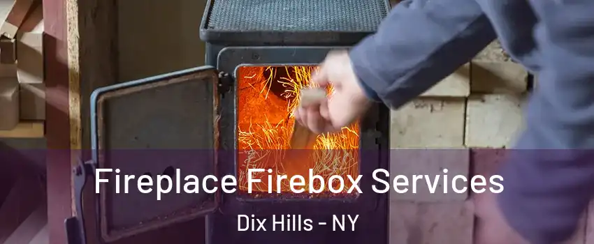  Fireplace Firebox Services Dix Hills - NY