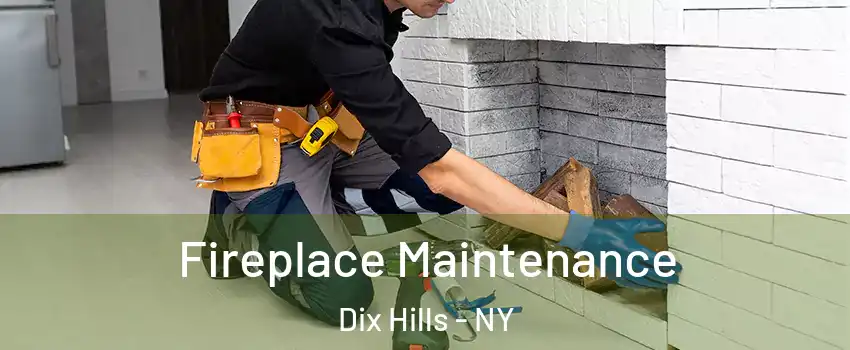  Fireplace Maintenance Dix Hills - NY