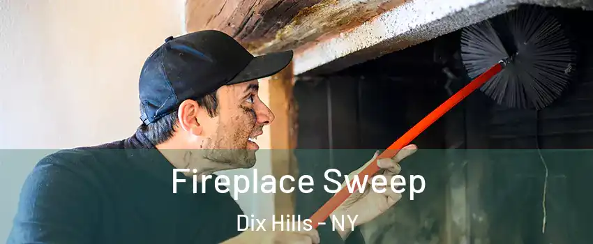  Fireplace Sweep Dix Hills - NY
