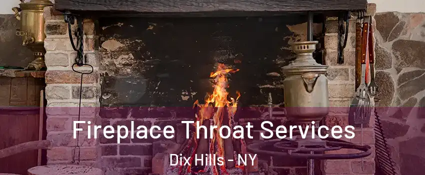  Fireplace Throat Services Dix Hills - NY