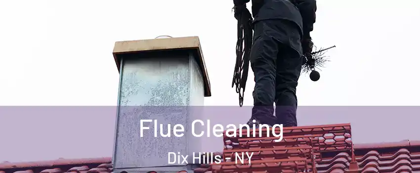  Flue Cleaning Dix Hills - NY