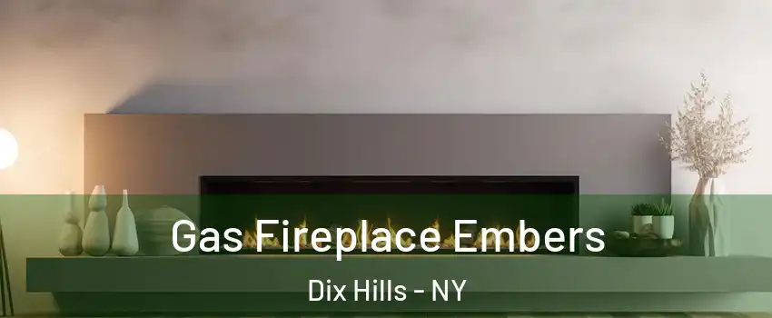  Gas Fireplace Embers Dix Hills - NY