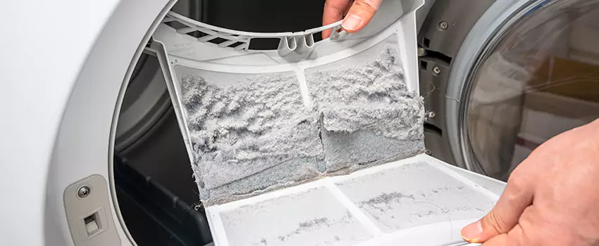 Best Dryer Lint Removal Company in Dix Hills, New York
