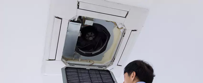 Benefits of Professional Air Duct Cleaning in Dix Hills, New York