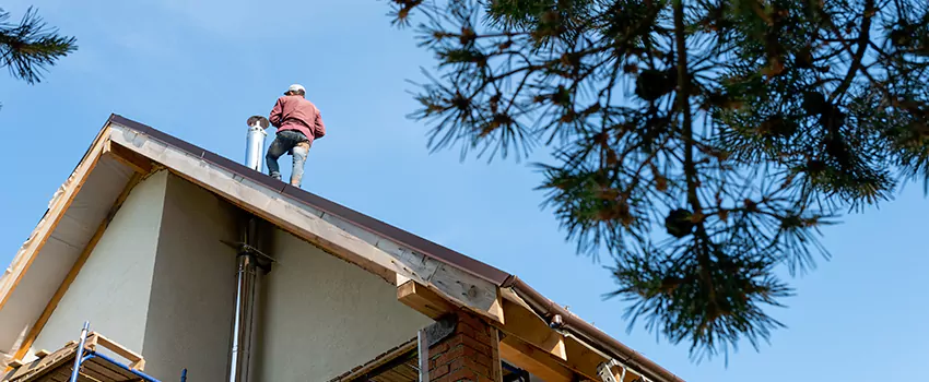 Birds Removal Contractors from Chimney in Dix Hills, NY