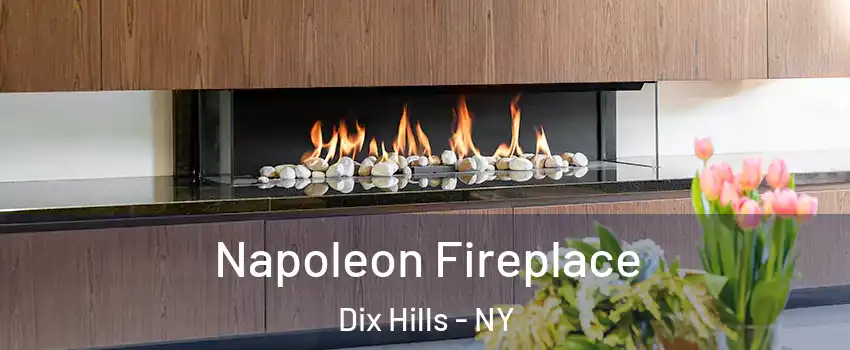  Napoleon Fireplace Dix Hills - NY
