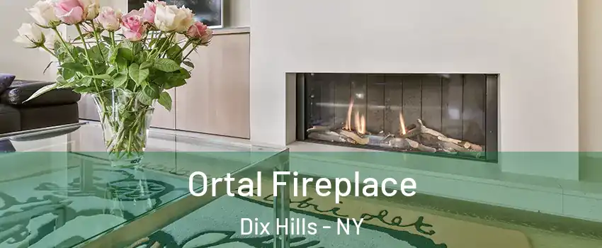  Ortal Fireplace Dix Hills - NY