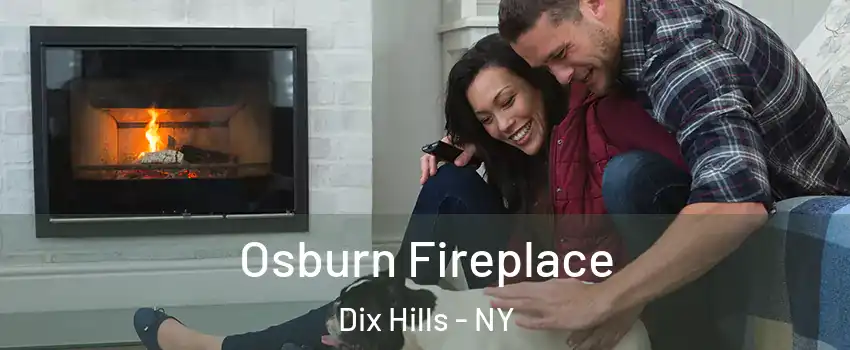  Osburn Fireplace Dix Hills - NY