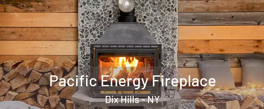  Pacific Energy Fireplace Dix Hills - NY
