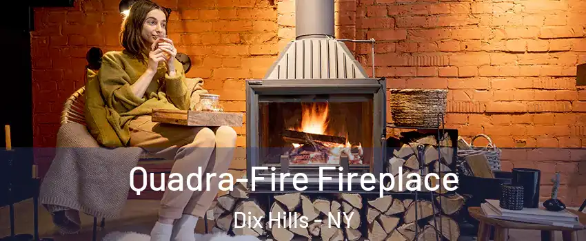  Quadra-Fire Fireplace Dix Hills - NY