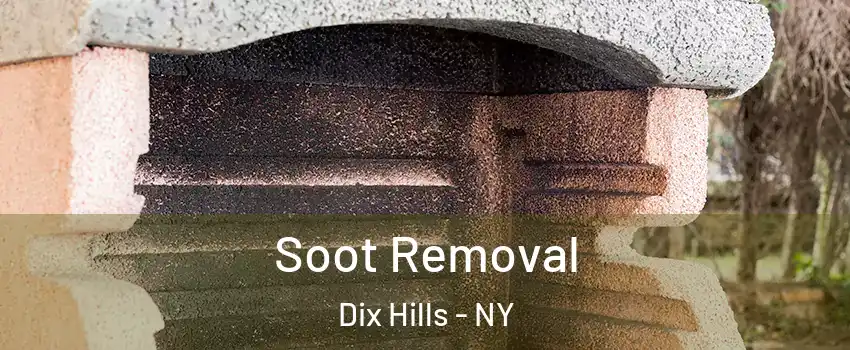  Soot Removal Dix Hills - NY