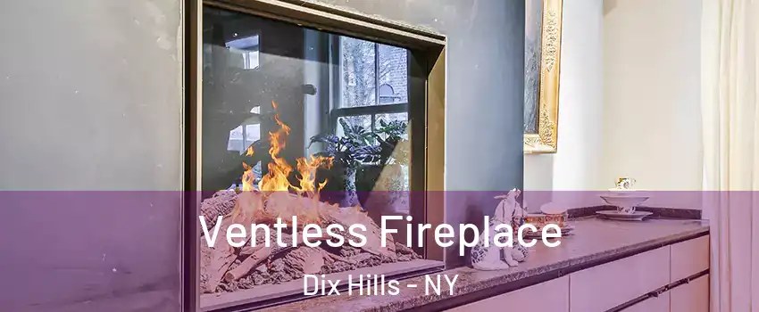  Ventless Fireplace Dix Hills - NY
