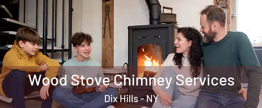  Wood Stove Chimney Services Dix Hills - NY